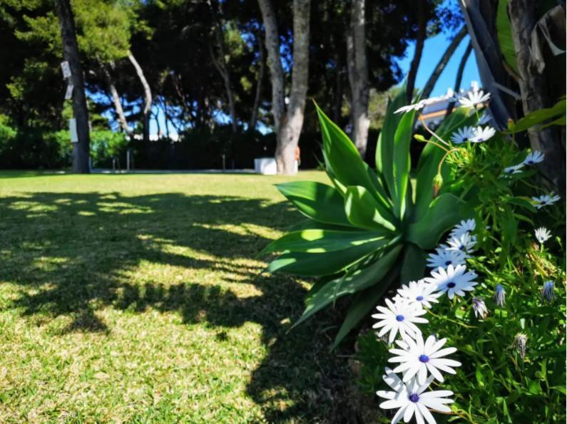 ¡Nuevo! Zona Tranquila Cerca De La Playa De La Carihuela Lägenhet Torremolinos Exteriör bild